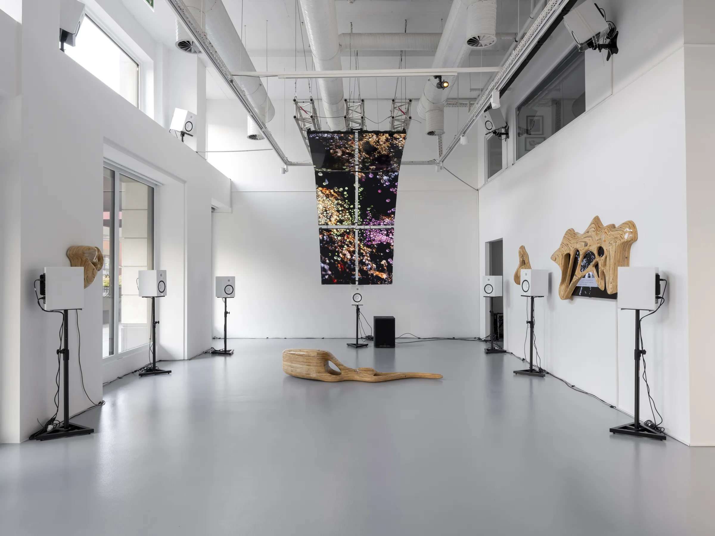 ID.EXE: THE HUMAN PATCH (Ecem Dilan Kose)